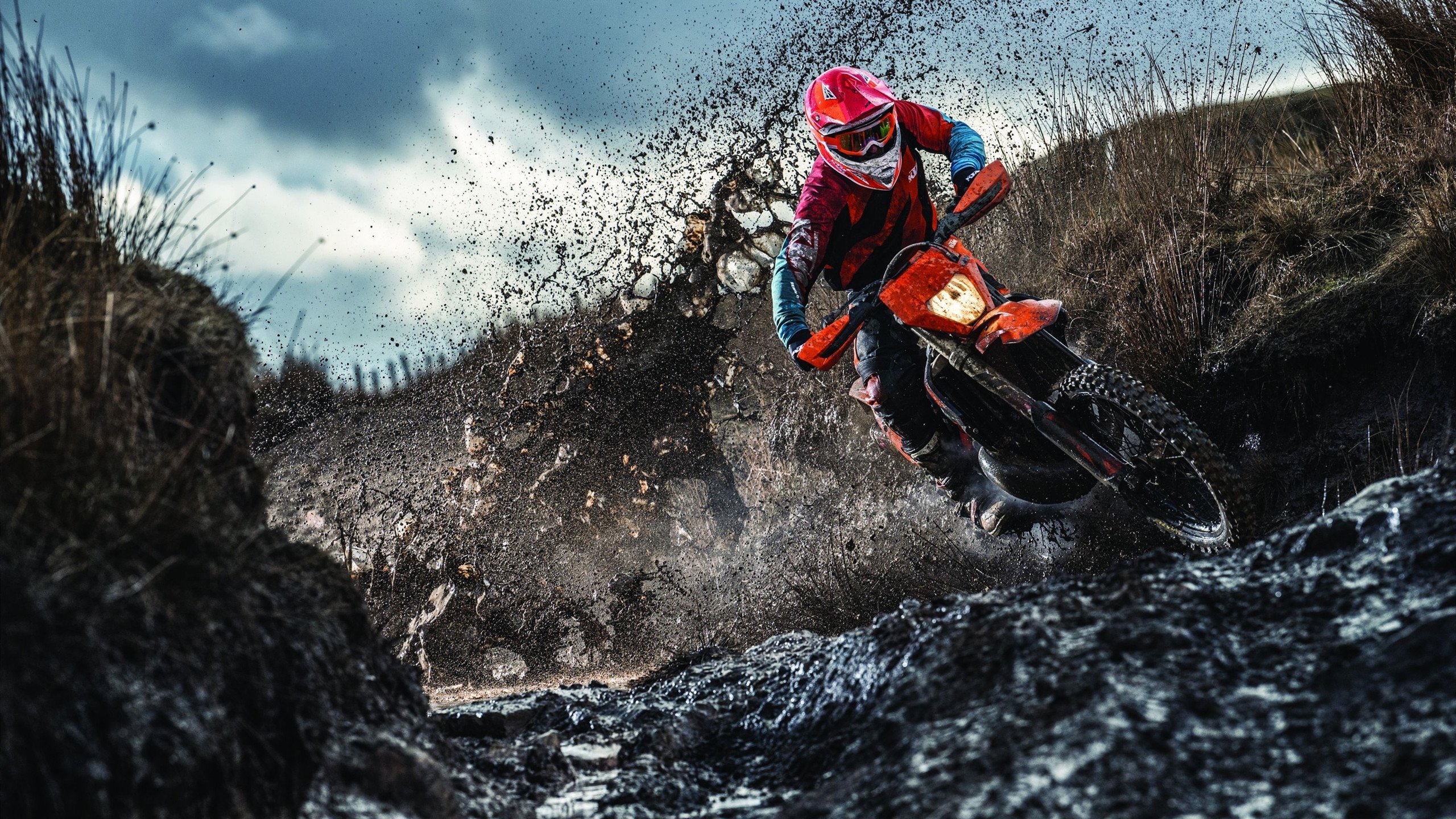 雄鹿火力压制雷霆,武切维奇进攻端无人可挡