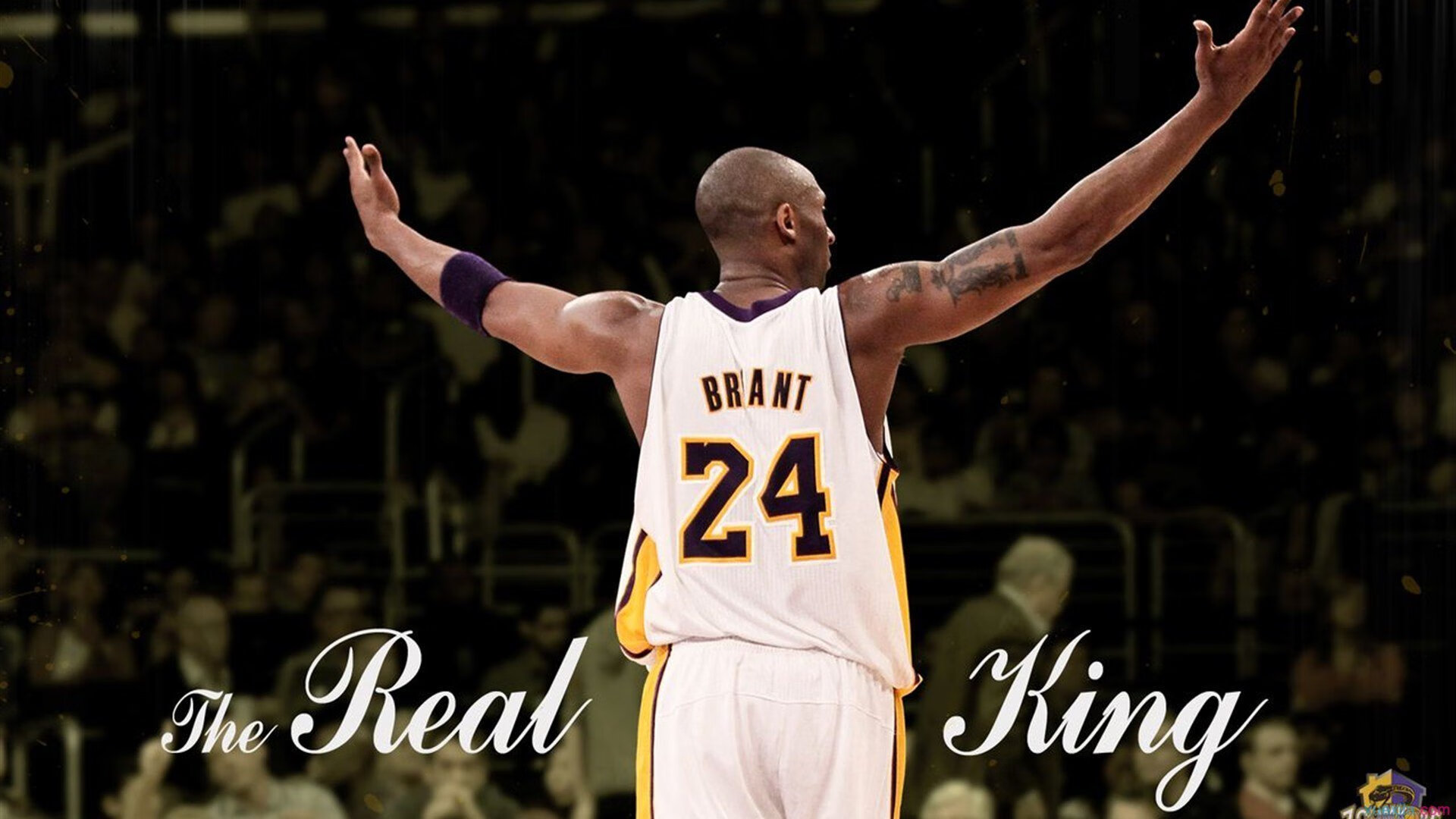 海潮北涌,上海男篮逆袭记—当总决赛的幻想在东北破碎